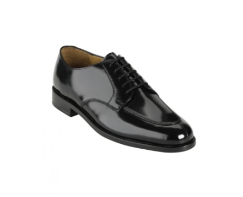 Cole Haan Calhoun Moc Toe Oxfords Men's Shoes